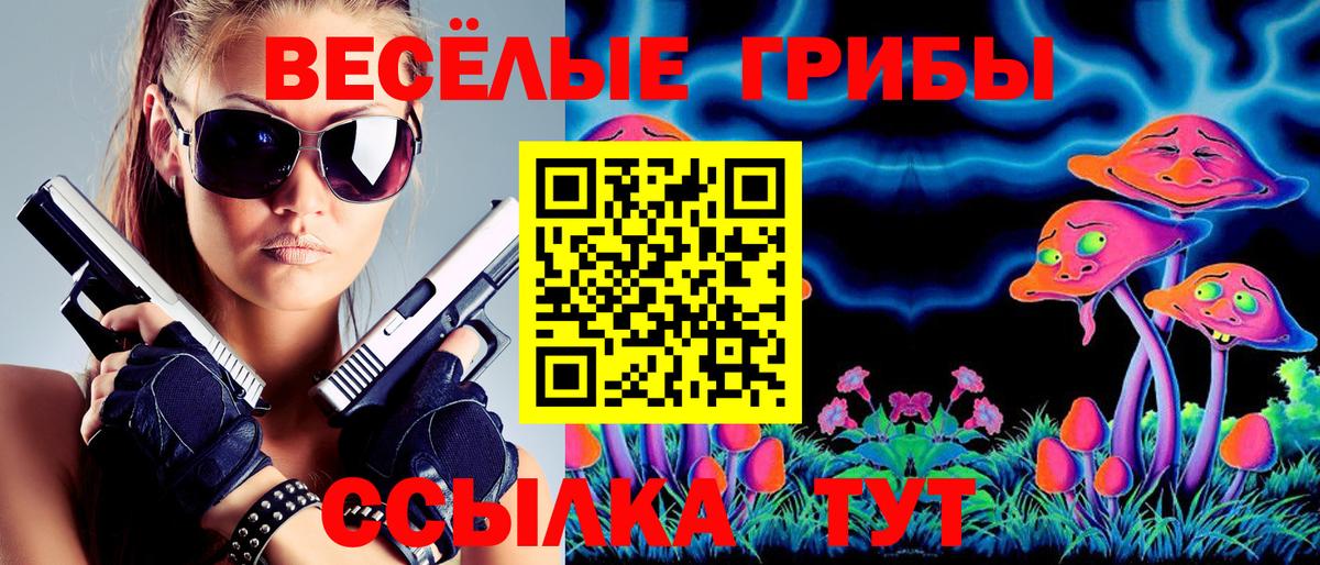 Псилоцибиновые грибы ЛСД  Вход с VPN  Тимашёвск 